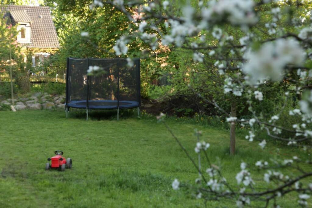 Ferienwohnung In Peetzig Am See Angermunde Εξωτερικό φωτογραφία