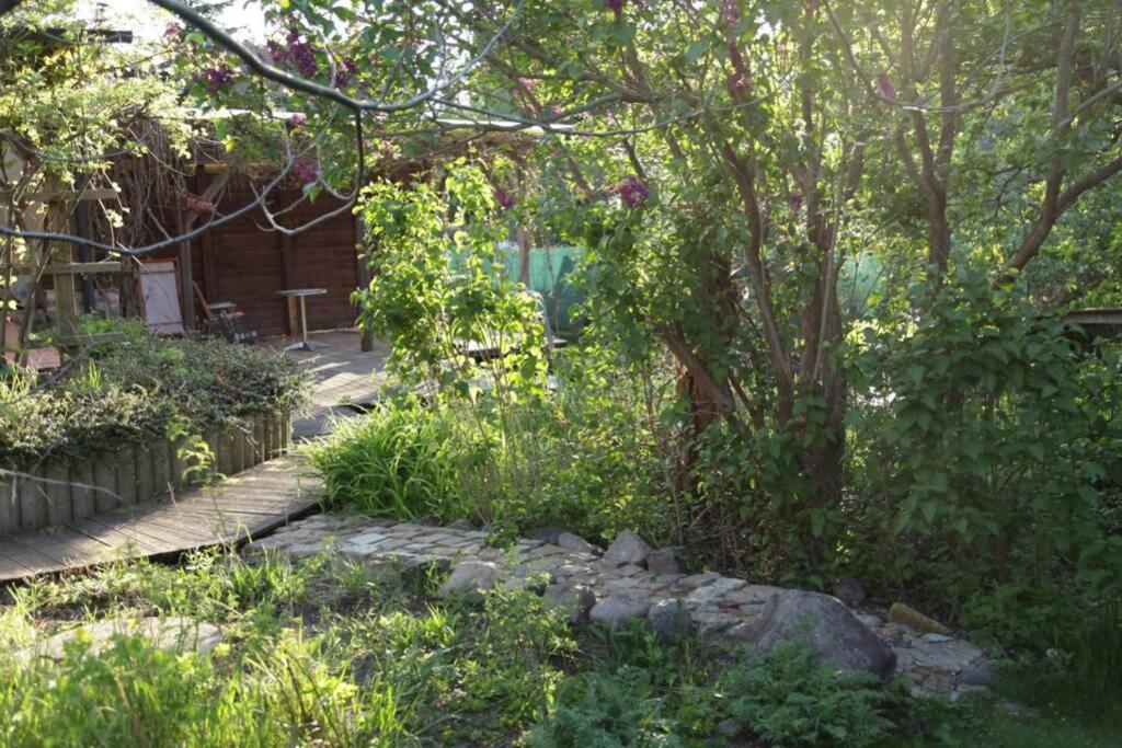 Ferienwohnung In Peetzig Am See Angermunde Εξωτερικό φωτογραφία