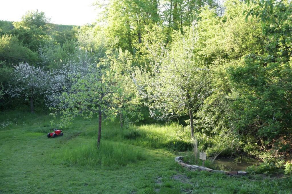Ferienwohnung In Peetzig Am See Angermunde Εξωτερικό φωτογραφία